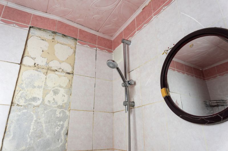 Top Shower Remodeling Companies in Clearwater, FL