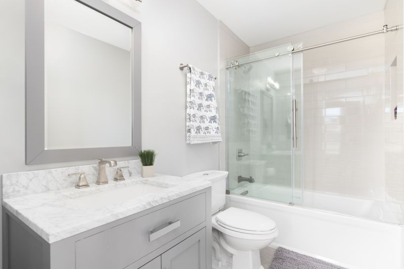 Top Tub To Shower Conversion Companies in Holiday, FL